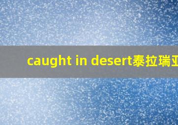 caught in desert泰拉瑞亚